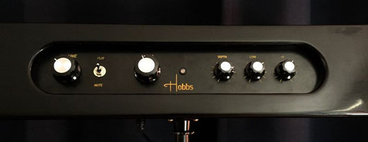 Hobbs Theremin Special (hand built by Charles Hobbs)