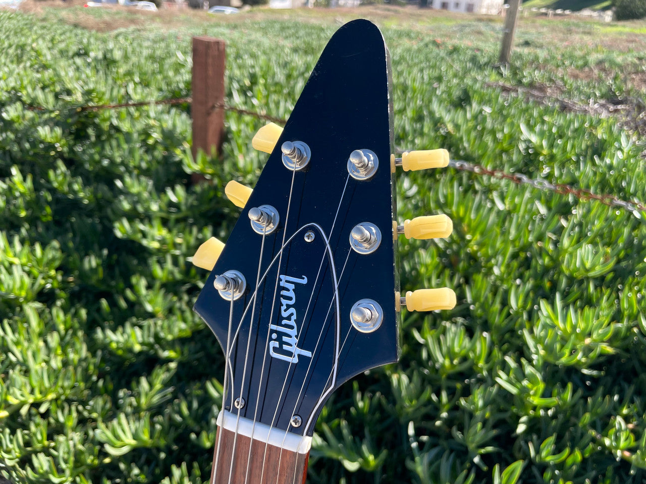 Gibson Flying V ’67 Reissue BLACK ON BLACK