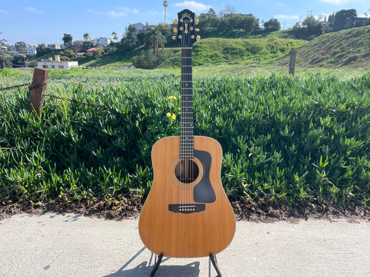 Guild DV52-NT 1994 with OHSC