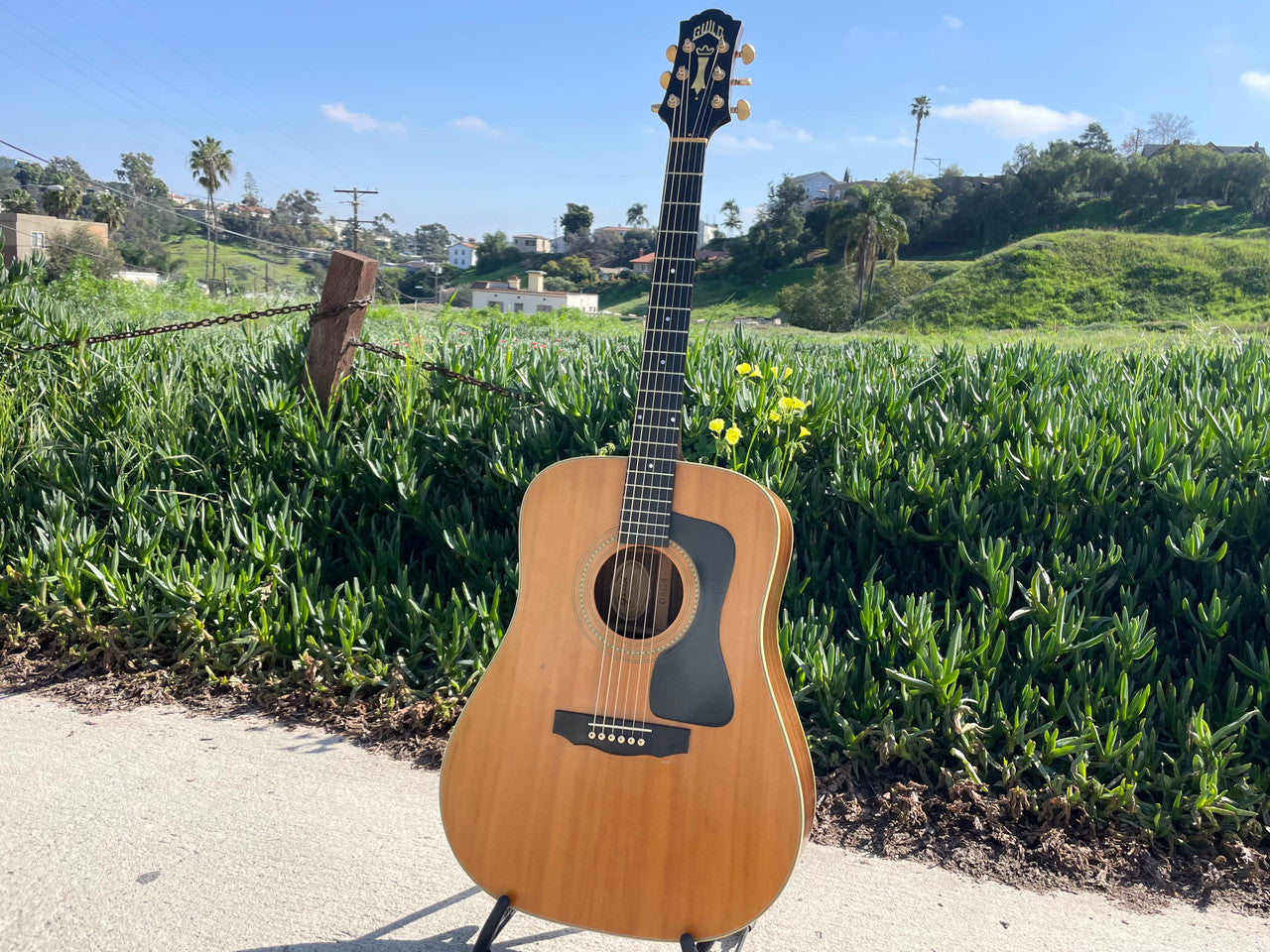 Guild DV52-NT 1994 with OHSC