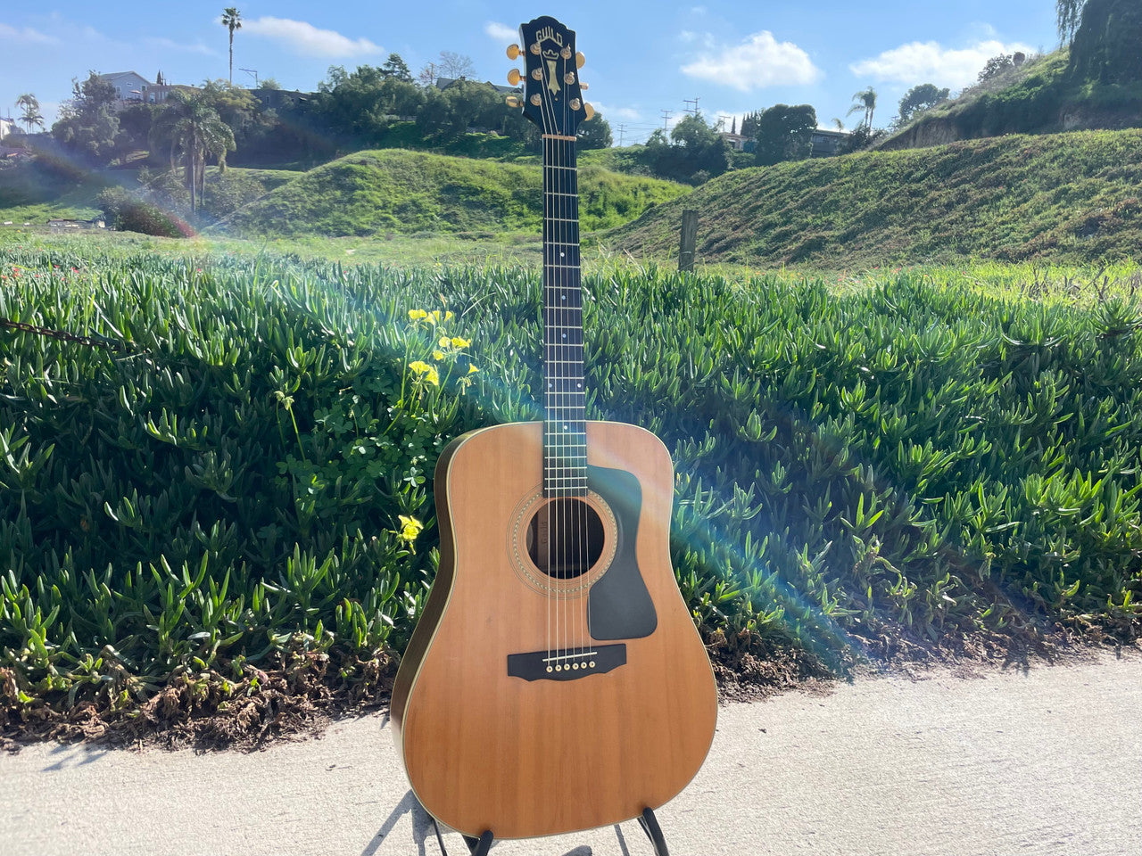Guild DV52-NT 1994 with OHSC