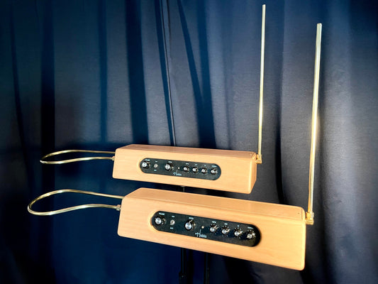 Hobbs Theremin Standard (hand built by Charles Hobbs)