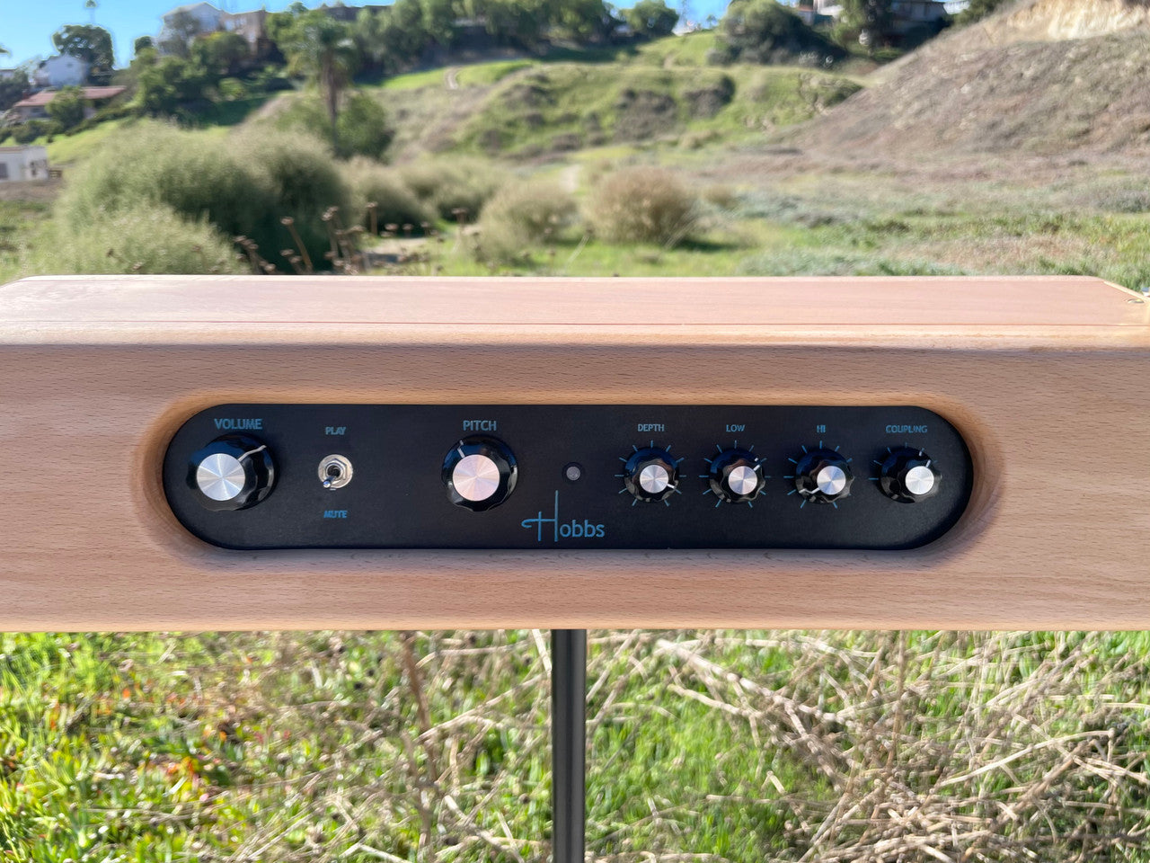 Hobbs Theremin Standard (hand built by Charles Hobbs)