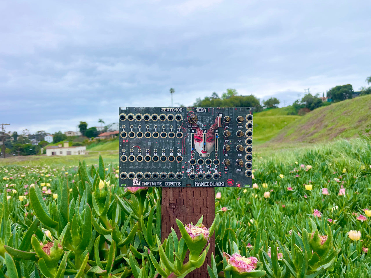 Infinite Digits x Maneco Labs ZEPTOMOD MEGA Eurorack