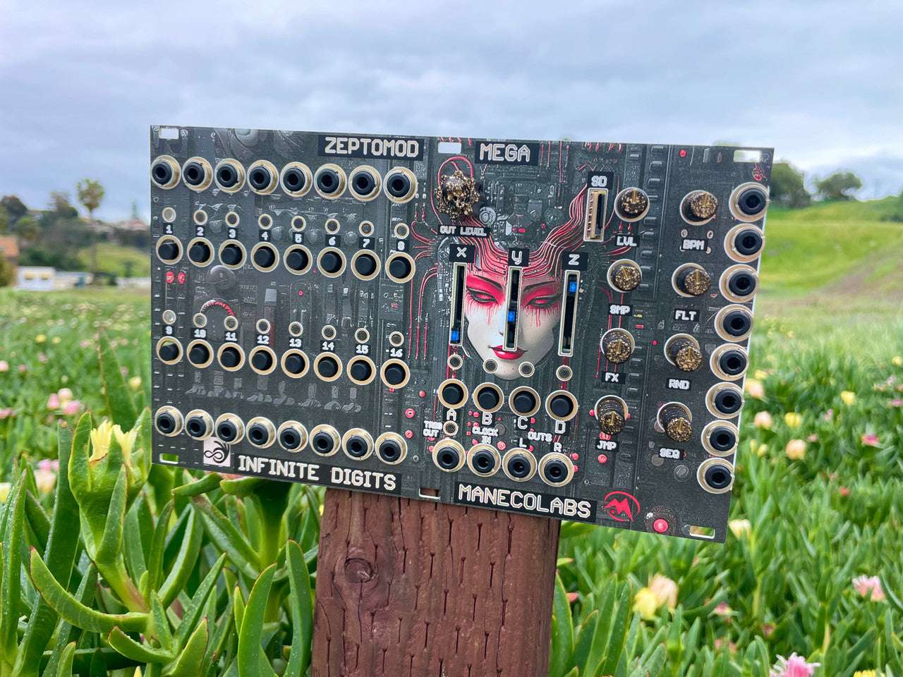 Infinite Digits x Maneco Labs ZEPTOMOD MEGA Eurorack