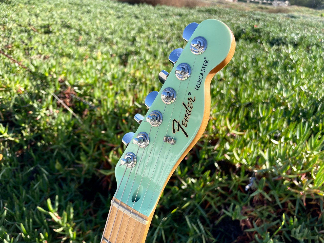 Fender FSR Telecaster Surf green matching headstock w/ matching Fender Blues Jr.