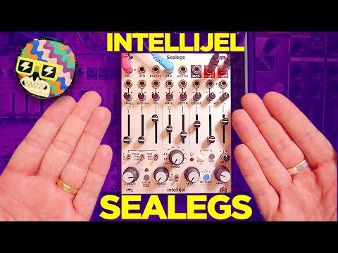 Intellijel Sealegs Pre-Order